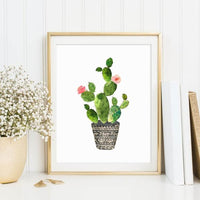 Cactus Diy Paint By Numbers Kits UK PL0126