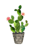 Cactus Diy Paint By Numbers Kits UK PL0126