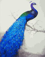 Peacock Diy Paint By Numbers Kits UK AN0131