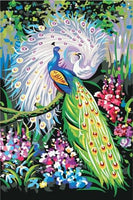Peacock Diy Paint By Numbers Kits UK AN0132