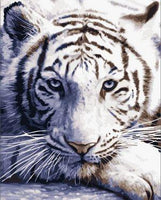 Animal Tiger Diy Paint By Numbers Kits UK AN0013