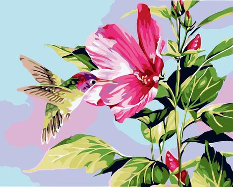Birds And Flower Diy Paint By Numbers Kits UK PL0014