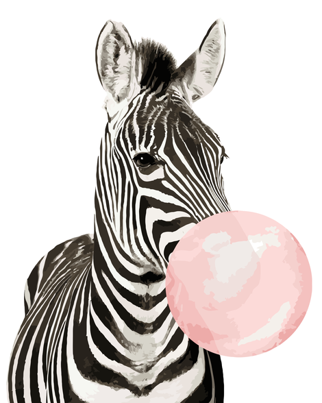 Zebra Diy Paint By Numbers Kits UK AN0154