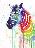 Animal Zebra Diy Paint By Numbers UK AN0156