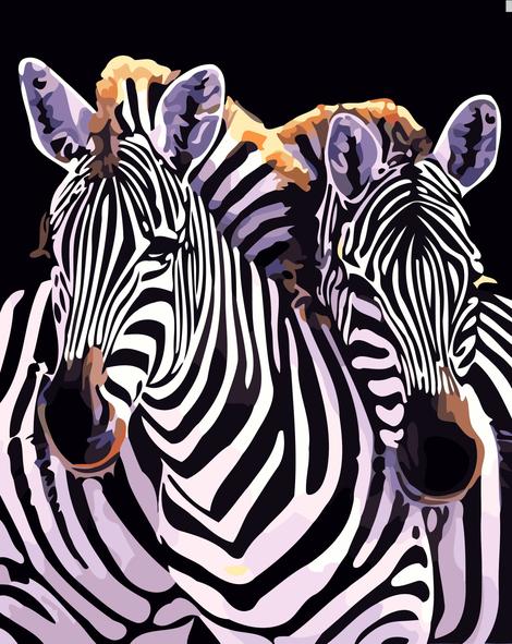 Zebra Diy Paint By Numbers Kits UK AN0158