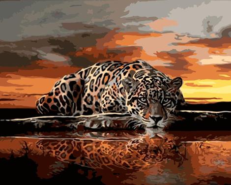 Leopard Diy Paint By Numbers Kits UK AN0162
