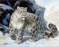 Animal Leopard Diy Paint By Numbers Kits For Adults UK AN0163
