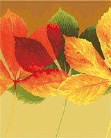 Leaf Diy Paint By Numbers Kits UK PL0167