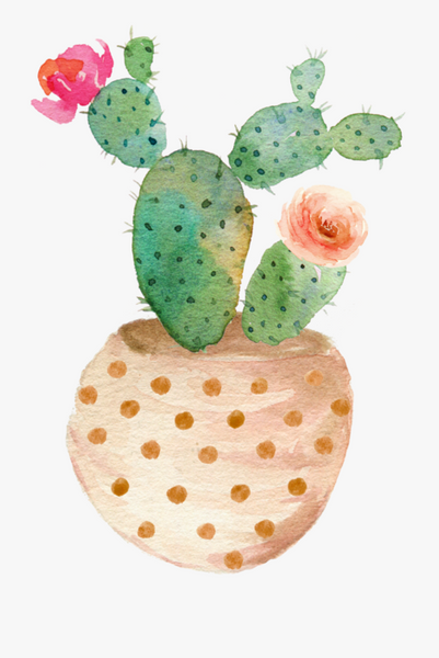 Cactus Diy Paint By Numbers Kits UK PL0178
