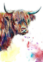 Highland Cow Diy Paint By Numbers Kits UK AN0195