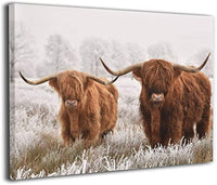 Highland Cow Diy Paint By Numbers Kits UK AN0196