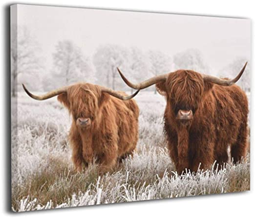 Highland Cow Diy Paint By Numbers Kits UK AN0196