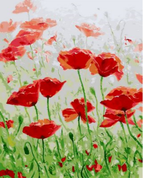 Poppy Flower Diy Paint By Numbers Kits UK PL0199