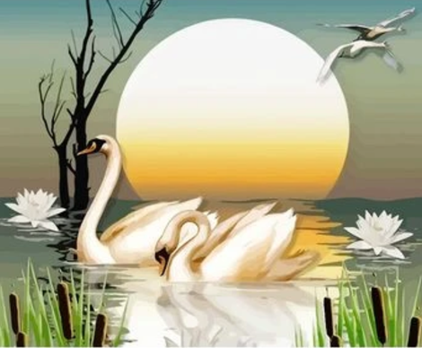 Animal Swan Diy Paint By Numbers Kits UK AN0731