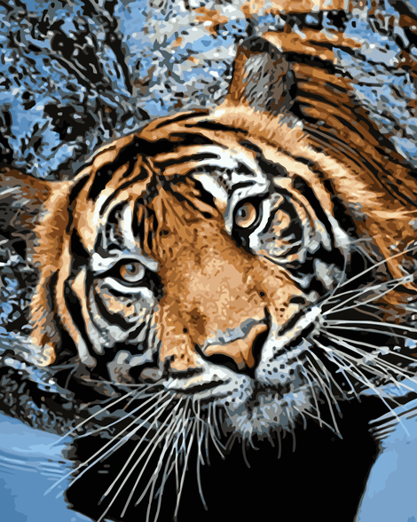Tiger Diy Paint By Numbers Kits UK AN0001
