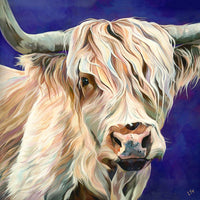 Highland Cow Diy Paint By Numbers Kits UK AN0201