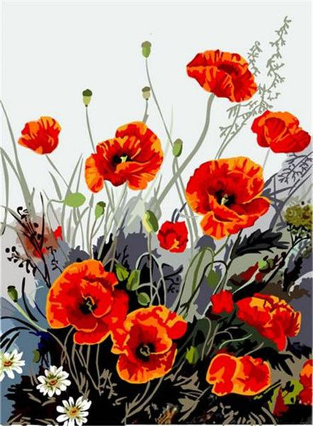 Poppy Flower Diy Paint By Numbers Kits UK PL0201