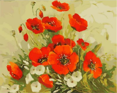Poppy Flower Diy Paint By Numbers Kits UK PL0203
