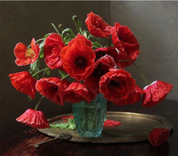 Poppy Flower Diy Paint By Numbers Kits UK PL0213