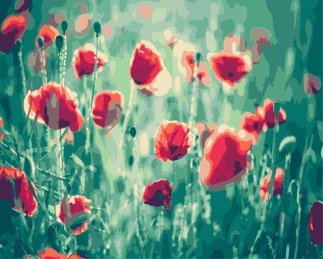 Poppy Flower Diy Paint By Numbers Kits UK PL0214