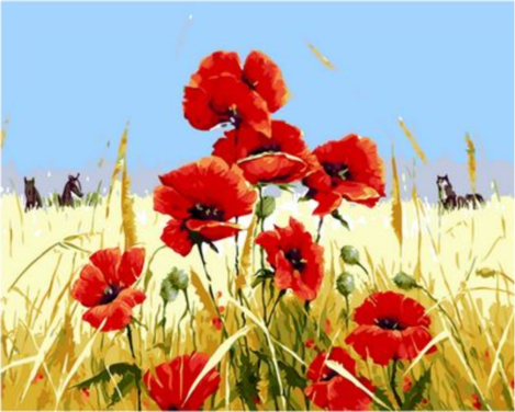 Poppy Flower Diy Paint By Numbers Kits UK PL0216