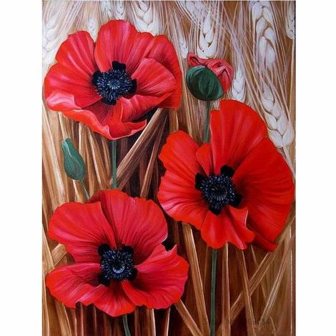 Poppy Flower Diy Paint By Numbers Kits UK PL0219