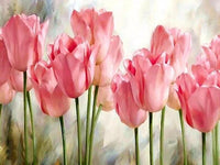 Tulips Diy Paint By Numbers Kits UK PL0231