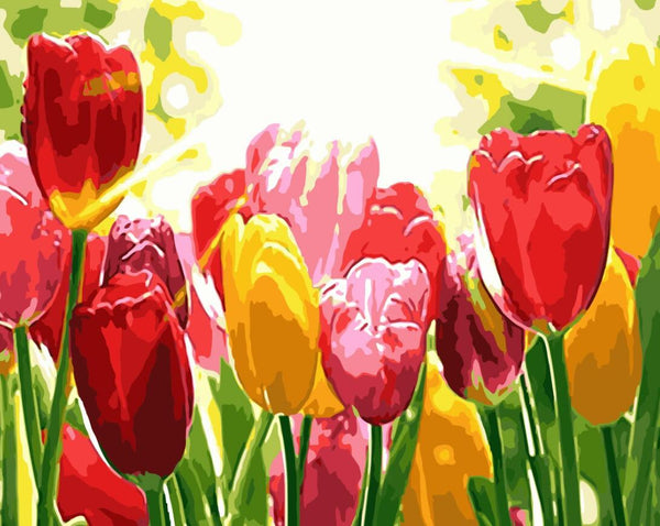 Tulips Diy Paint By Numbers Kits UK PL0234