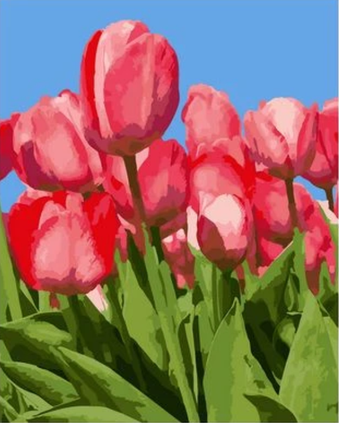 Tulips Diy Paint By Numbers Kits UK PL0236