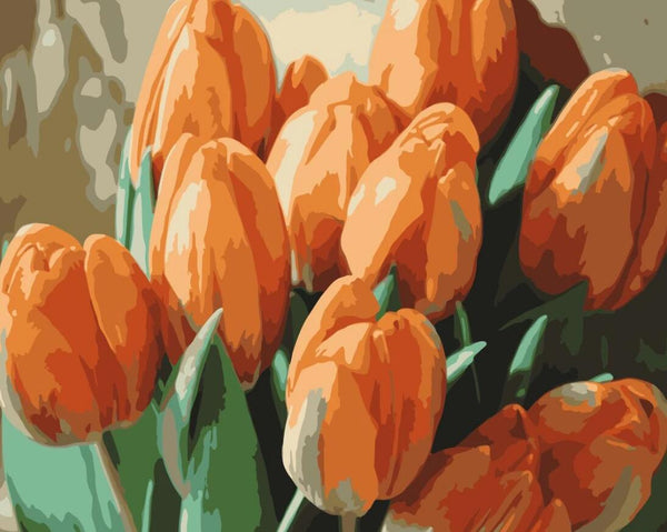 Tulips Diy Paint By Numbers Kits UK PL0241