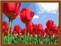 Tulips Diy Paint By Numbers Kits UK PL0249