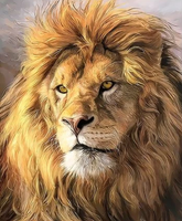 Animal Lion Diy Paint By Numbers Kits UK AN0024