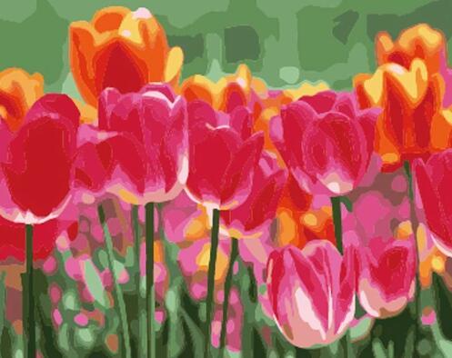 Tulips Diy Paint By Numbers Kits UK PL0250