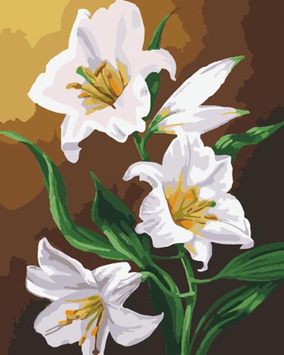 Lily Paint By Numbers Kits UK PL0258