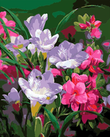 Lily Paint By Numbers Kits UK PL0266