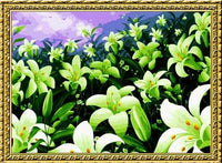 Lily Paint By Numbers Kits UK PL0267