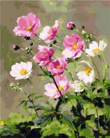 Chrysanthemum Diy Paint By Numbers Kits UK PL0292