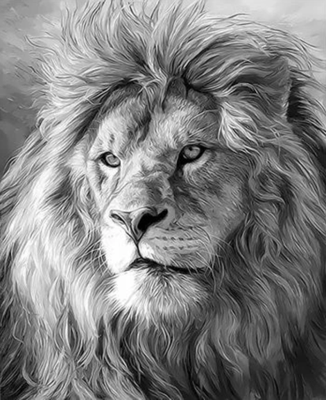 Animal Lion Diy Paint By Numbers Kits UK AN0029