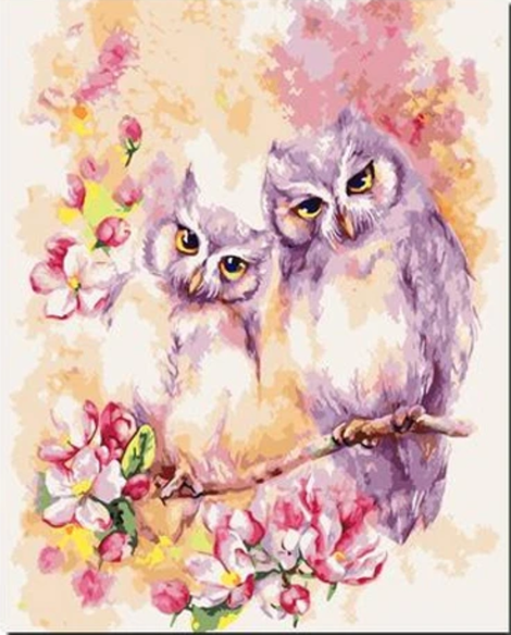 Flying Animal Two Lovely Owl Diy Paint By Numbers Kits UK FA0035