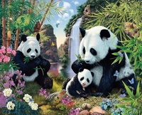 Panda Diy Paint By Numbers Kits UK AN0778