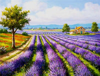 Lavender Paint By Numbers Kits UK PL0321