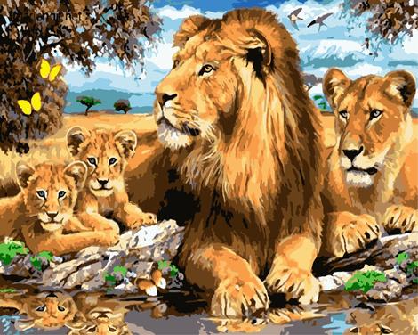 Lion Diy Paint By Numbers Kits UK AN0032