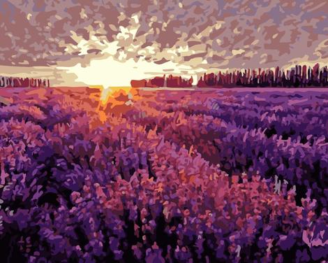 Lavender Paint By Numbers Kits UK PL0337