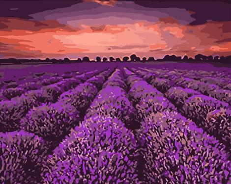 Lavender Paint By Numbers Kits UK PL0338