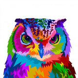 Owl Diy Paint By Numbers Kits Uk VM92156