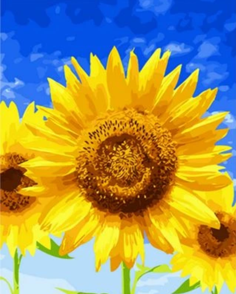 Sunflower Diy Paint By Numbers Kits UK PL0345