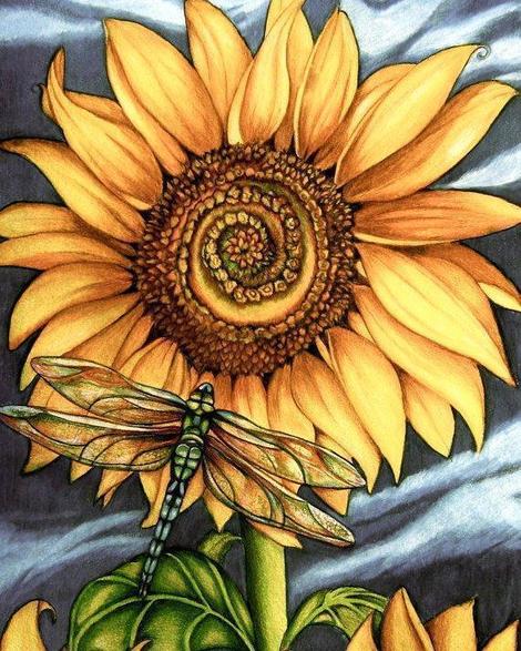 Sunflower Diy Paint By Numbers Kits UK PL0358