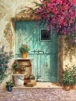 Door Landscape Street Paint By Numbers Kits For Adults UK LS386