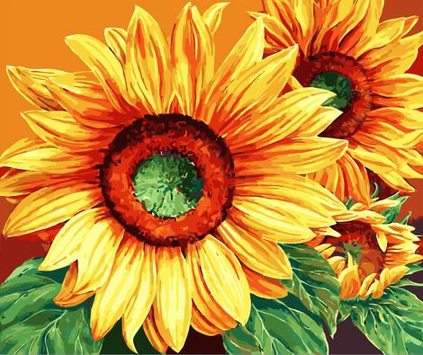 Sunflower Diy Paint By Numbers Kits UK PL0368