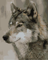 Animal Wolf Paint By Numbers Kits UK AN0036